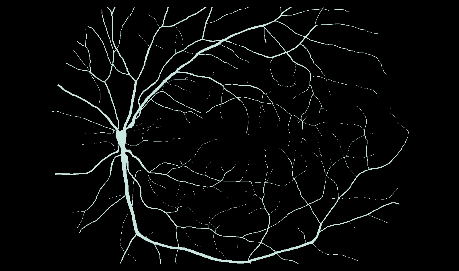 HRF retinal vessel input