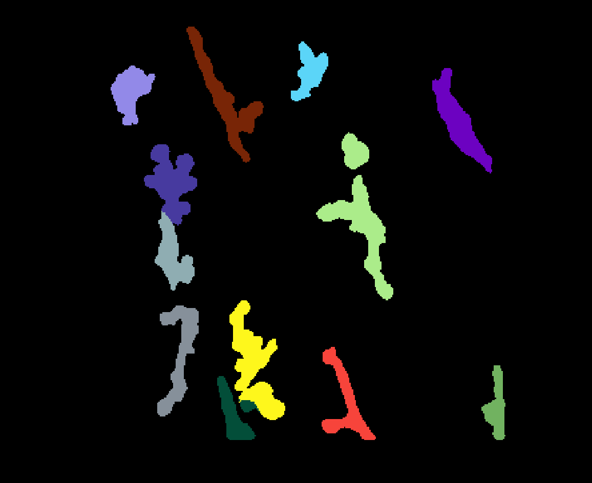 Macrophage multi-label input